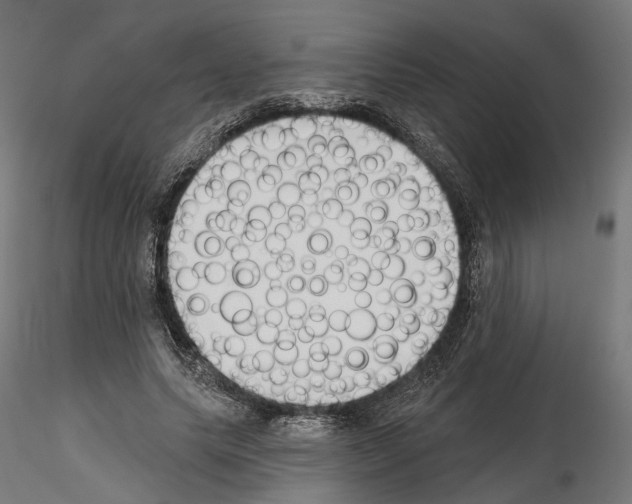 X0000114690639200912021046