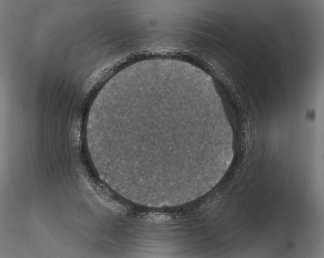 X0000114690640200912021046