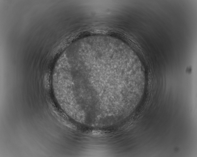 X0000114690641200912021046