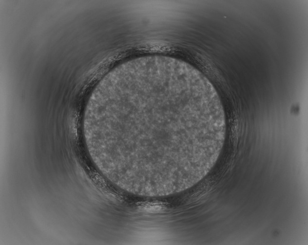 X0000114690643200912021046