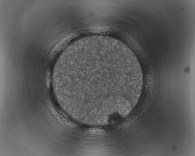 X0000114690644200912021046