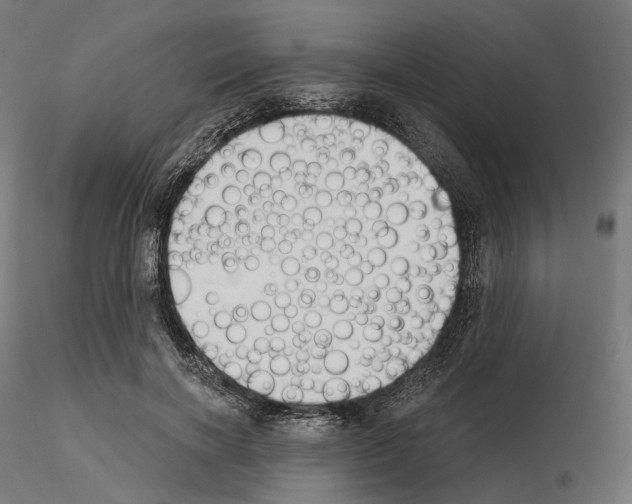 X0000114690646200912021046