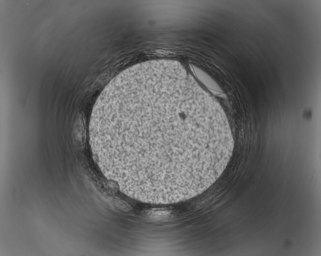 X0000114690651200912021046