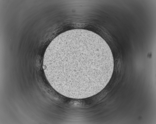 X0000114690655200912021046