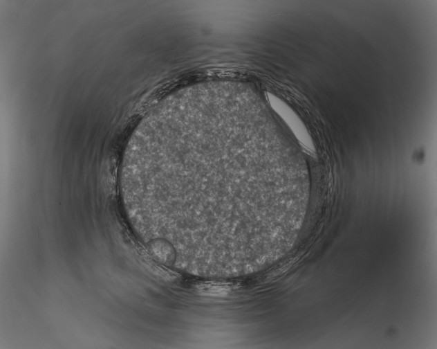 X0000114690661200912021046