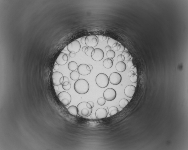 X0000114690662200912021046