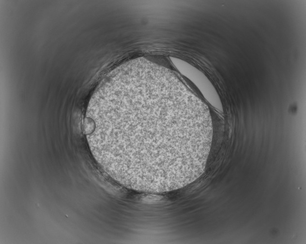 X0000114690669200912021047