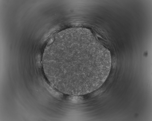 X0000114690670200912021047
