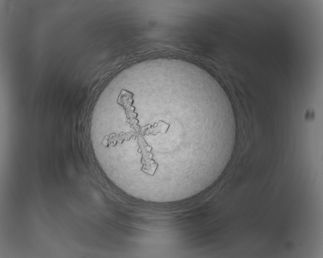 X0000114690672200912021047