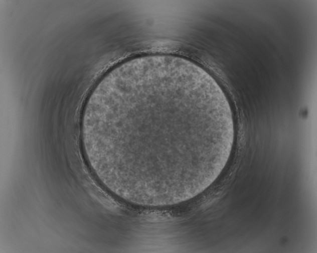 X0000114690673200912021046