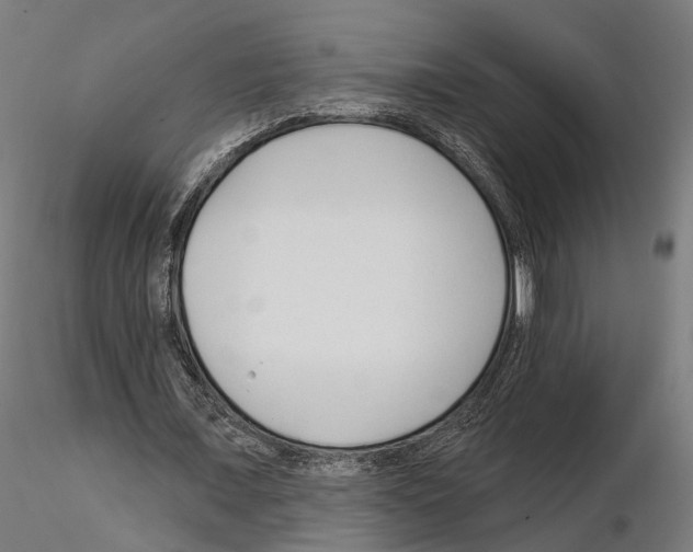 X0000114690675200912021046