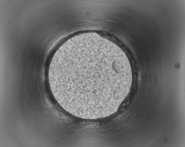 X0000114690676200912021046