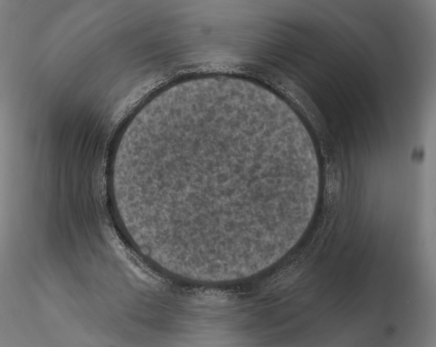 X0000114690677200912021046