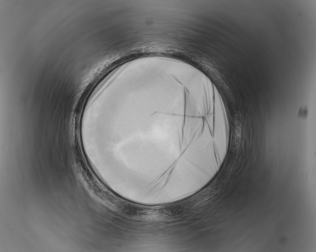 X0000114690678200912021046