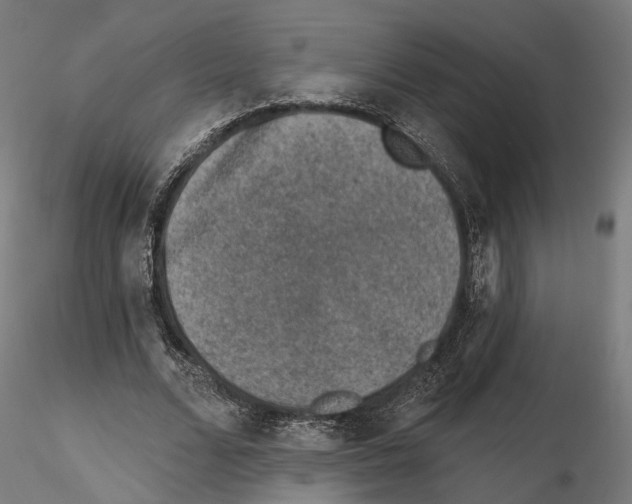 X0000114690680200912021046