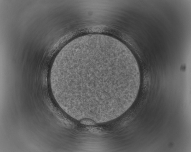 X0000114690681200912021046