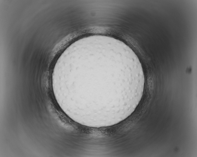 X0000114690682200912021046