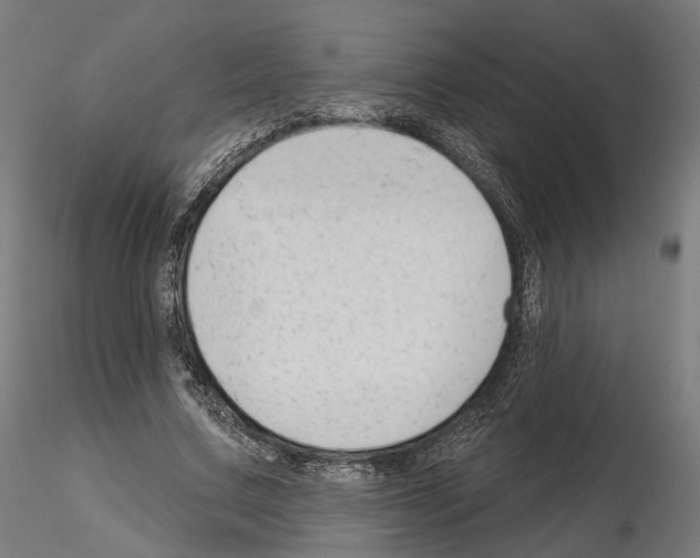 X0000114690683200912021046