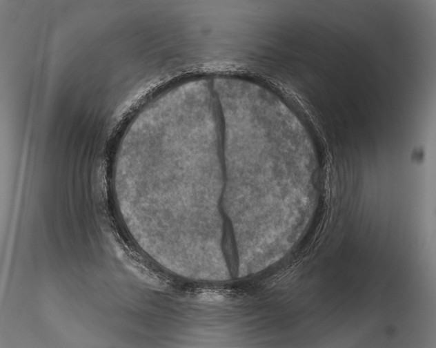 X0000114690684200912021046