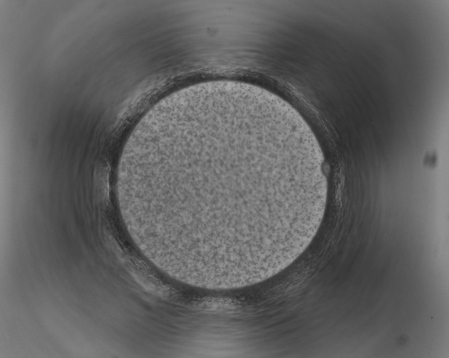 X0000114690685200912021046