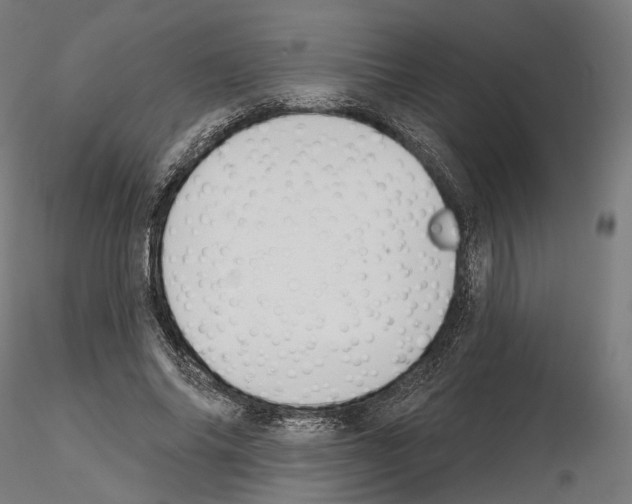 X0000114690686200912021046