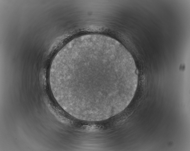 X0000114690688200912021046