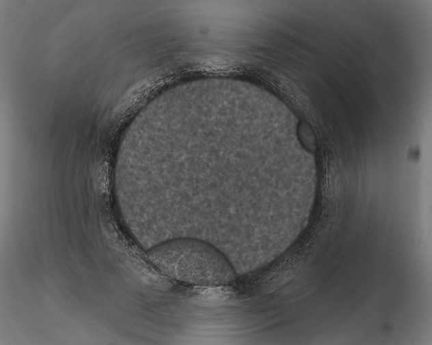 X0000114690689200912021045