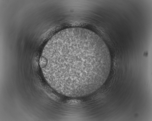 X0000114690691200912021045