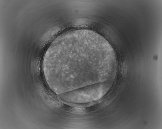 X0000114690692200912021045