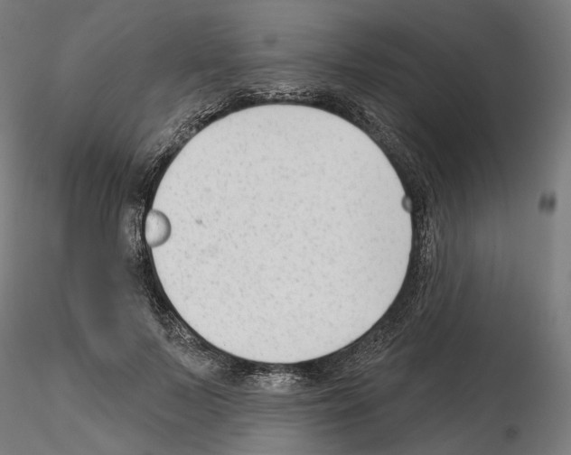 X0000114690695200912021045