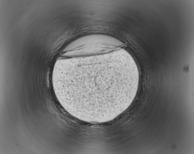 X0000114690696200912021045