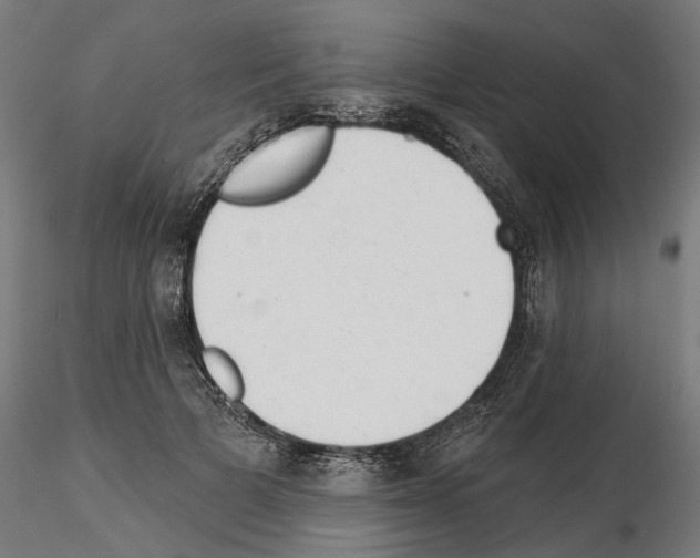 X0000114690697200912021045