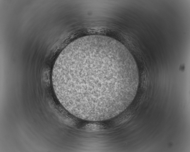 X0000114690699200912021045