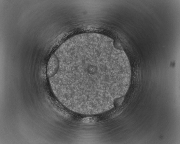 X0000114690700200912021045