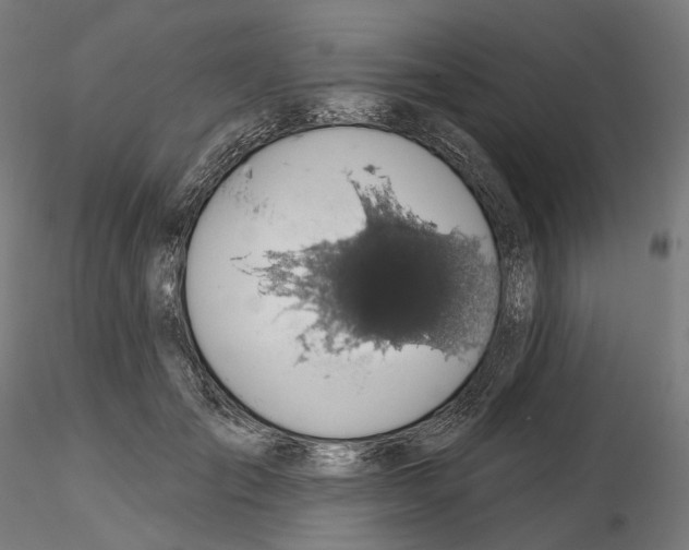X0000114690701200912021045