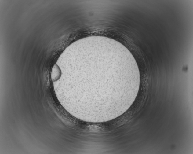 X0000114690703200912021045