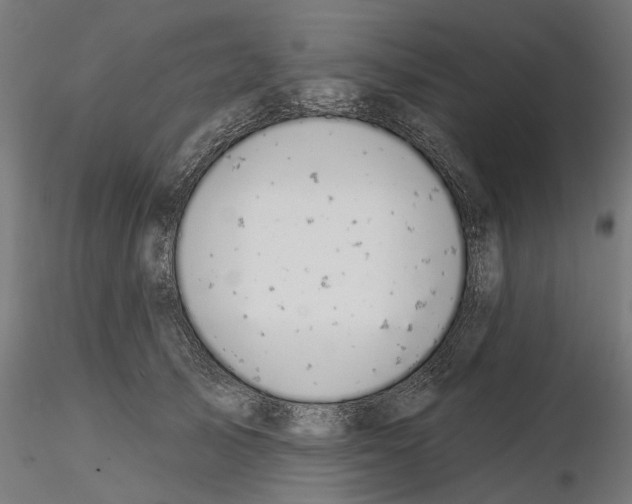 X0000114690705200912021045