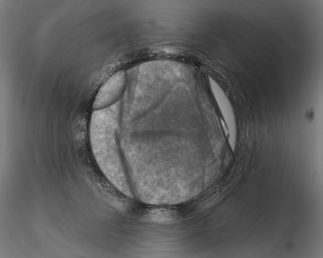 X0000114690708200912021045
