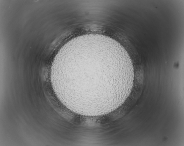 X0000114690709200912021045