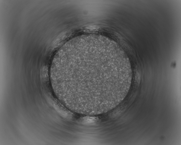 X0000114690711200912021045