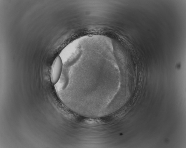 X0000114690712200912021045
