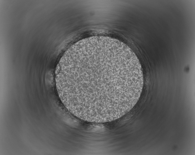 X0000114690715200912021045
