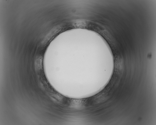 X0000114690717200912021045