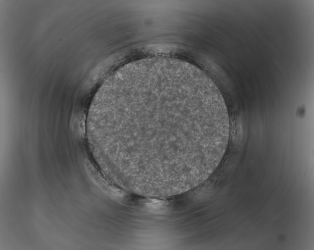 X0000114690718200912021045