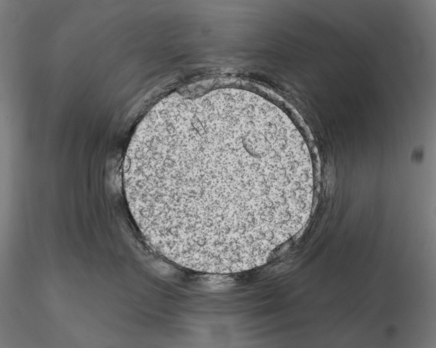 X0000114690719200912021045