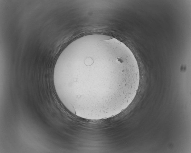 X0000114690720200912021045