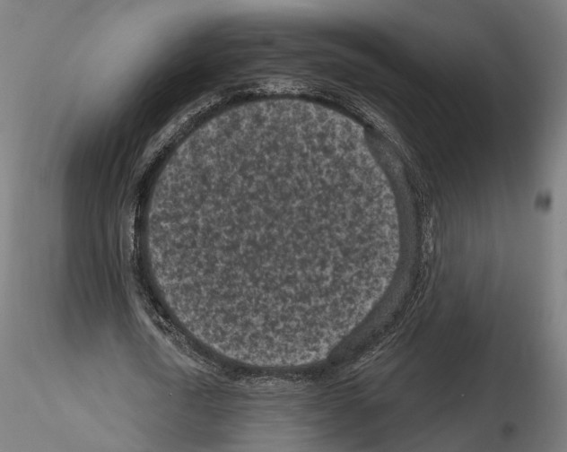 X0000114690722200912021044