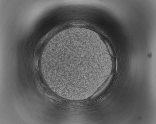 X0000114690723200912021044