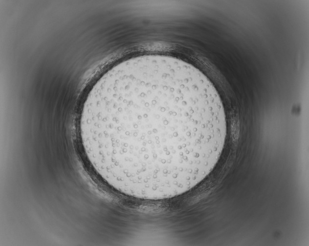 X0000114690725200912021044