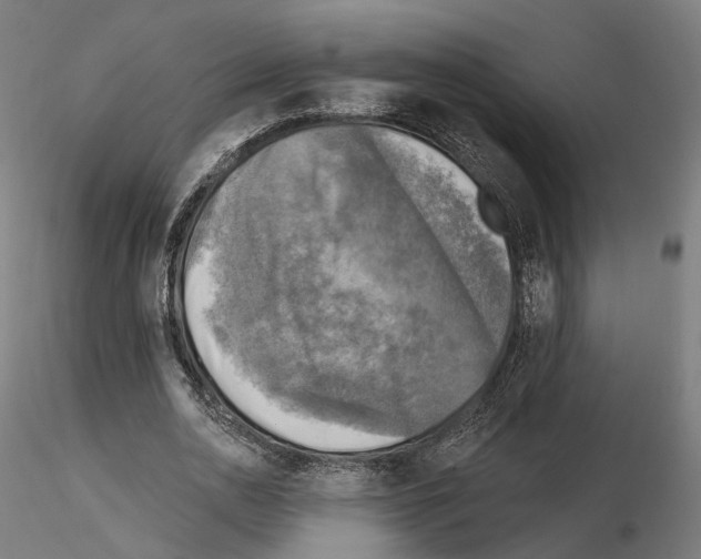 X0000114690726200912021044